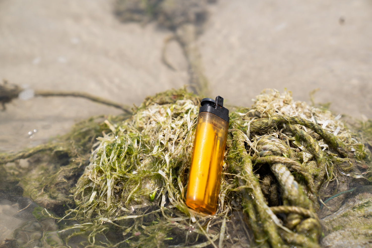 Greenwashing vs. echte Nachhaltigkeit